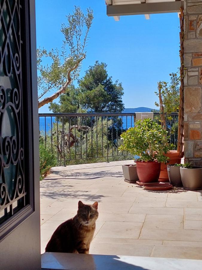 Villa Johell Νέος Μαρμαράς Εξωτερικό φωτογραφία